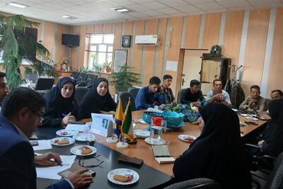 بهار سبز شد؛ هشدار ناترازی گاز برای فصل سرد - تسنیم