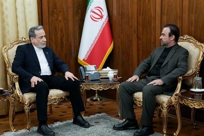  عراقچی و نجفی راهکارهای صیانت از حقوق هسته‌ای ایران را بررسی کردند - تسنیم