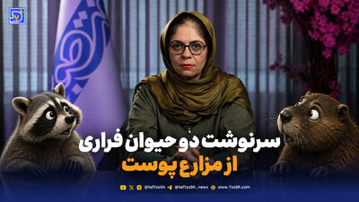 نوتریا ساکن گیلان شد، راکون مهاجم شد؛ سرنوشت دو حیوان فراری از مزارع پوست
