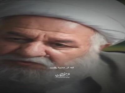  نامی که قاب‌ها را زیباتر می‌کند...