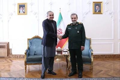  وزیر کشور پاکستان با دبیر شورای عالی امنیت ملی دیدار کرد