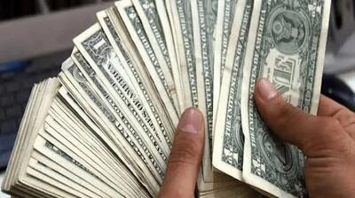  کشف ۲۴ میلیارد تومان دلار تقلبی در شیراز