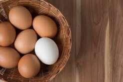 تخممرغهای قهوهای بهتر است یا سفید؟