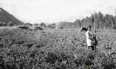 چهره باورنکردنی شمال تهران در سال ۱۳۱۴