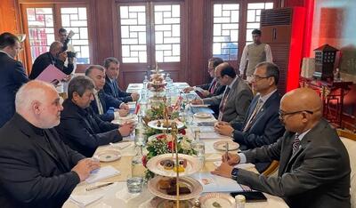 دیدار رئیس کل بانک مرکزی ایران با رئیس بانک مرکزی هند در حاشیه نشست بریکس