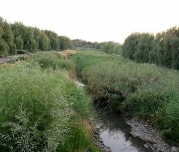 شهرچای ارومیه، رودخانهای که به بیشهزار تبدیل شده است/ پاییز در راه است، مسئولان کجای ماجرا هستند؟