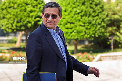 رئیسکل بانک مرکزی برای شرکت در اجلاس بریکس عازم هند شد