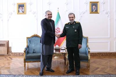  وزیر کشور پاکستان با دبیر شورای عالی امنیت ملی دیدار کرد