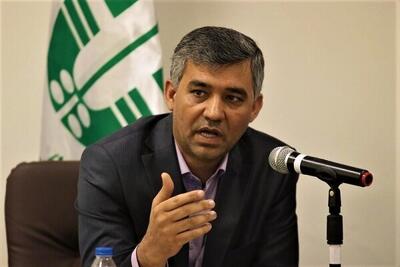 رصد آلودگی نفتی در ۳۲ هزار مترمربع از سواحل قشم و هنگام