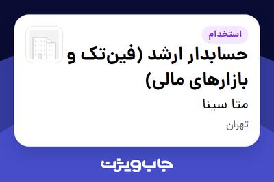 استخدام حسابدار ارشد (فینتک و بازارهای مالی) در متا سینا
