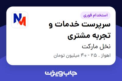 استخدام سرپرست خدمات و تجربه مشتری در نخل مارکت