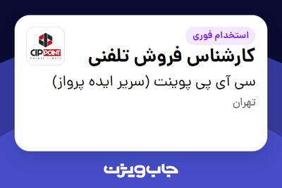  استخدام کارشناس فروش تلفنی - خانم در سی آی پی پوینت (سریر ایده پرواز)