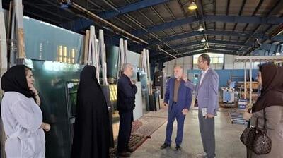 تداوم نظارتهای میدانی بر صنایع بروجرد / ارتقای رضایتمندی مصرفکنندگان