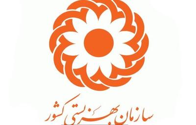 چرا حق‌پرستاری برخی معلولان قطع می‌شود؟