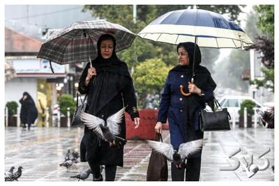 بارندگی در ۱۰ استان کشور؛ وضعیت آب و هوای استانهای شمالی طی دو روز آینده - مجله اینترنتی کولاک