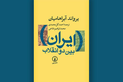  وقتی توسعه بدون مشارکت سیاسی به انقلاب رسید