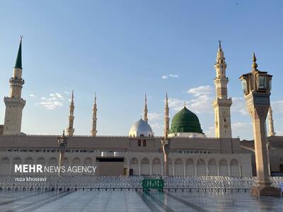  پیامبر گرامی اسلام شهید شدند یا رحلت کردند؟ نگاه شیعه و اهل سنت