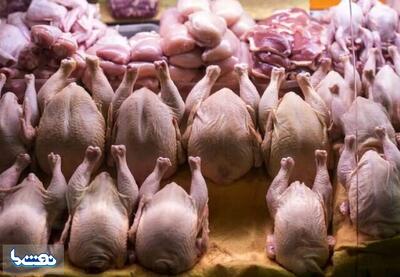  قیمت گوشت مرغ امروز چهارشنبه ۲۱ مردادماه ۱۴۰۵ | نفت ما