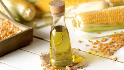 راز یک گیاه پرطرفدار برای دفع سنگ کلیه؛ ادعاها چقدر درست است؟