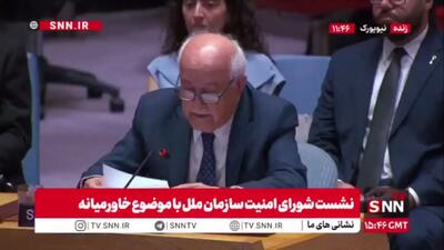 نماینده تشکیلات خودگردان فلسطین در شورای امنیت: یک دولت غیرقانونی، کشور قانونی ما را اشغال کرده است