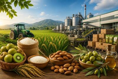  اینفوگرافیک| صنعت؛ پیشران کشاورزی گیلان - تسنیم