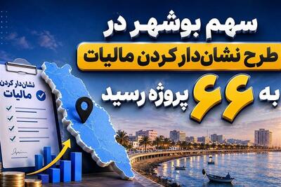افزایش پروژههای «نشاندار کردن مالیات» در بوشهر به 66 طرح - تسنیم