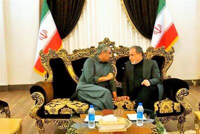 گفت وگوی عراقچی با وزیر کشور پاکستان در فرودگاه مشهد - تسنیم