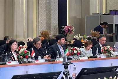 ضرورت تقویت تابآوری اقتصادی و مالی بریکس در برابر چالشهای جهانی