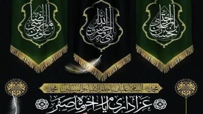  حال و هوای مشهد مقدس در روز‌های پایانی ماه صفر + فیلم