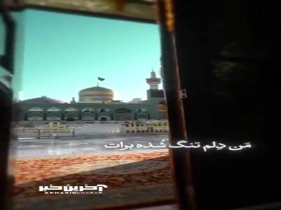  استوری/ ویژه شهادت امام رضا (ع)