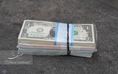 شوک جدید در بازار ارز؛ قیمت دلار دوباره خیز برداشت
