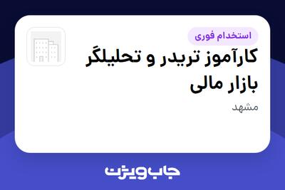 استخدام کارآموز تریدر و تحلیلگر بازار مالی در سازمانی فعال در حوزه سرمایه گذاری و مالی