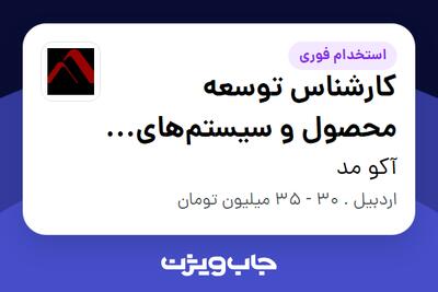 استخدام کارشناس توسعه محصول و سیستمهای سازمانی (راهکاران) - آقا در آکو مد