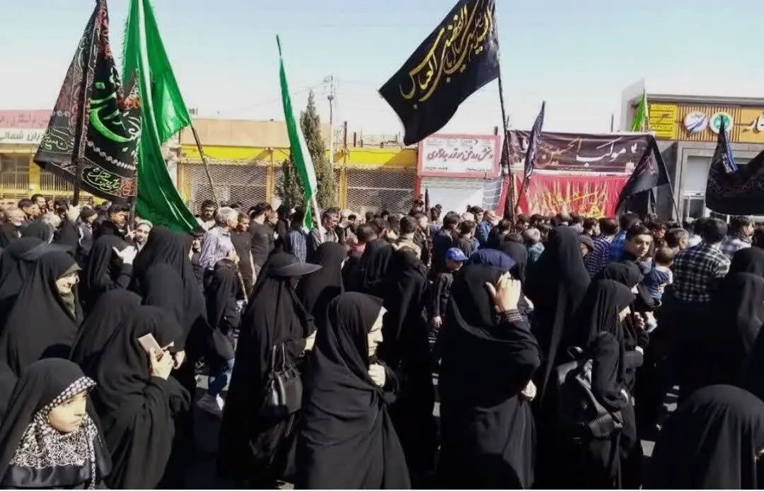  دلدادگان حسینی، حماسه‌ای دوباره در مسیر عشق رضوی آفریدند