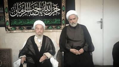  حجت الاسلام طائب در قم با آیت‌الله مکارم شیرازی دیدار کرد