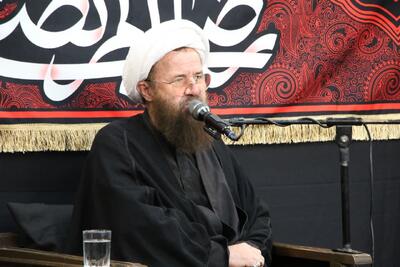 بیگدلی: مکتب تشیع با مجاهدت امام رضا(ع) در بلاد اسلامی گسترش یافت - پارس فوتبال