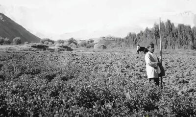 چهره باورنکردنی شمال تهران در سال ۱۳۱۴