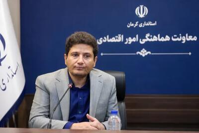 معاون استاندار کرمان: با کوتاهی بانکها در پرداخت تسهیلات به طرحهای تولیدی برخورد خواهد شد
