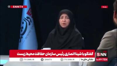  انصاری: در کشور 28 گونه جانوری در معرض انقراض داریم