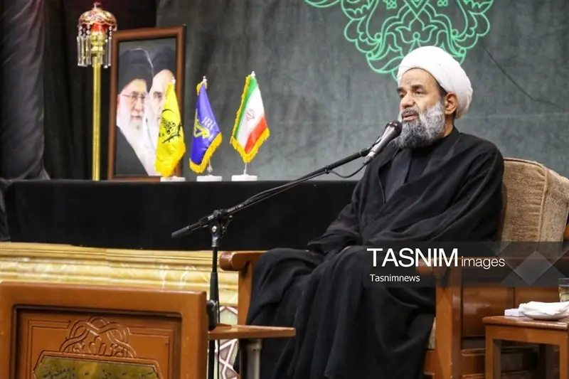 سیره امام رضا(ع)، الگویی برای کرامت و مهربانی در زندگی است - تسنیم