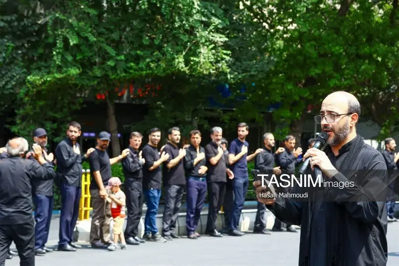  قیام تبریزی‌ها در عزای خورشید خراسان - تسنیم