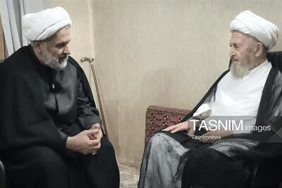  رئیس سازمان بسیج مستضعفین با آیت‌الله سبحانی دیدار کرد - تسنیم