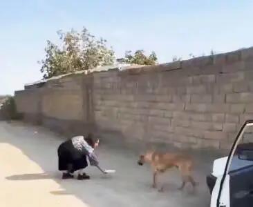پیج اینستای بلاگر زن به خاطر چه تصاویری مسدود شد؟ (+عکس)