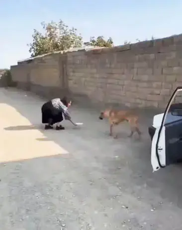 پیج اینستای بلاگر زن به خاطر چه تصاویری مسدود شد؟ (+عکس)