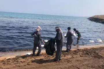 فرماندار قشم: آلودگی نفتی سواحل جزیره قشم تحت کنترل است