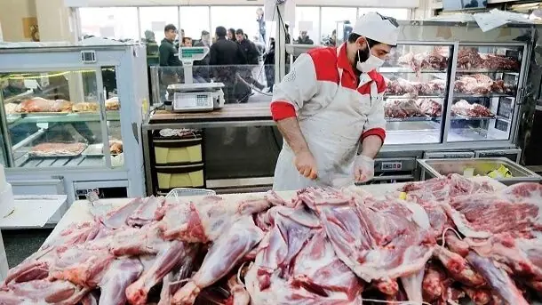 بی نیازی از واردات گوشت مرغ/صادرات مازاد تولید