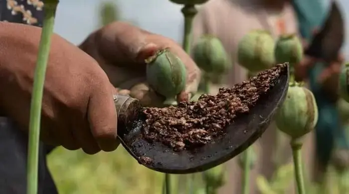 کشف محموله ۳۰۰ کیلویی تریاک در اصفهان