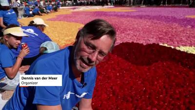  نمایش خیره‌کننده فرش گل بروکسل