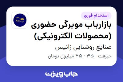  استخدام بازاریاب مویرگی حضوری (محصولات الکترونیکی) - آقا در صنایع روشنایی زانیس