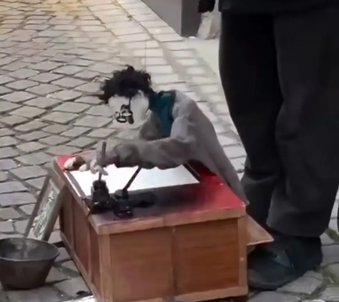 عروسکگردان هنرمند خیابانی